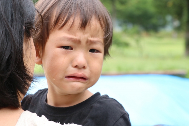 お母さんの悩みにズバリ答える 心理士が解説 就学前の感情コントロールが苦手な子への対応 サイコセラピー研究員ブログ